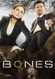 Кости 6 сезон (2012)