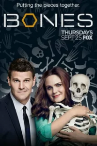 Кости 12 сезон (2017)